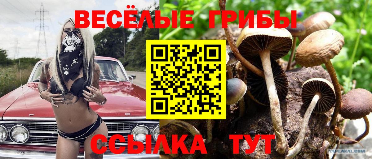 Галлюциногенные грибы ЛСД Сегежа