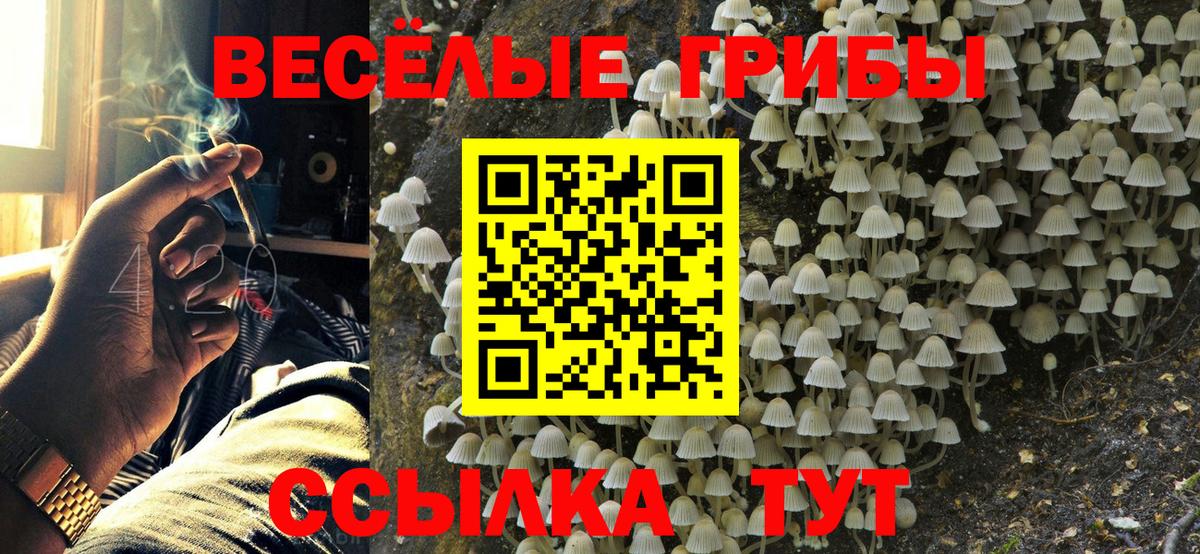 Сегежа  Псилоцибиновые грибы мухоморы  Вход с VPN 