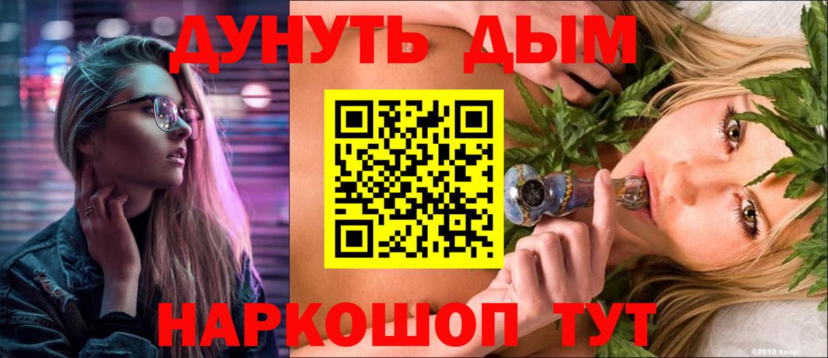 Конопля сатива Сегежа
